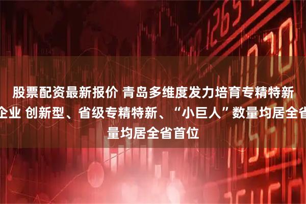 股票配资最新报价 青岛多维度发力培育专精特新中小企业 创新型、省级专精特新、“小巨人”数量均居全省首位